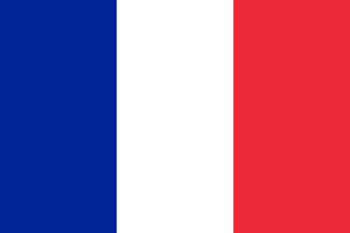 foto bandiera francese
